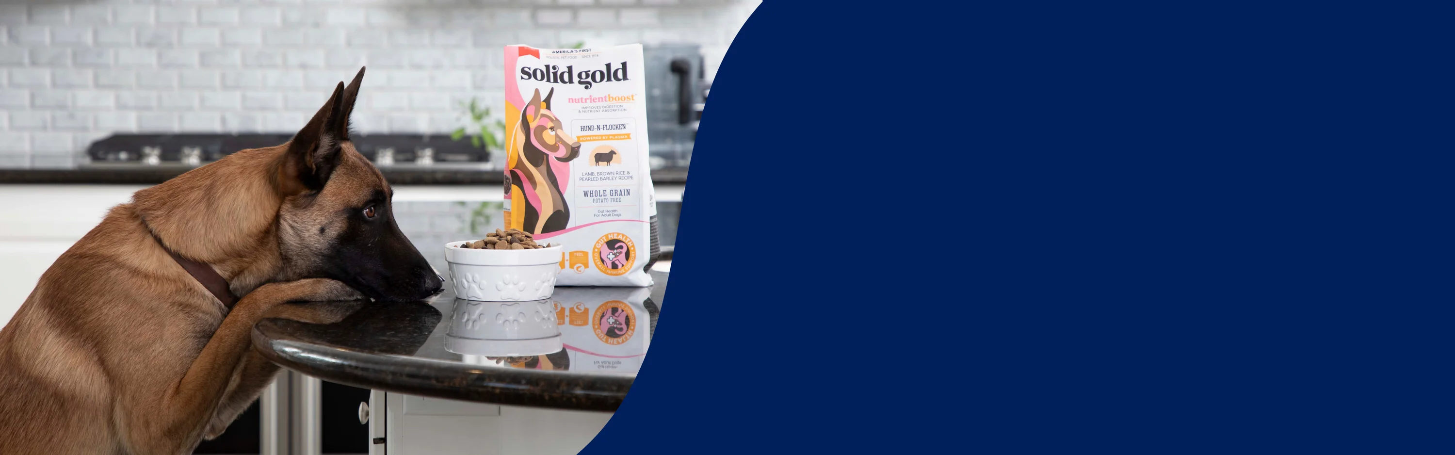 Holistic Nutrition for Golden Health