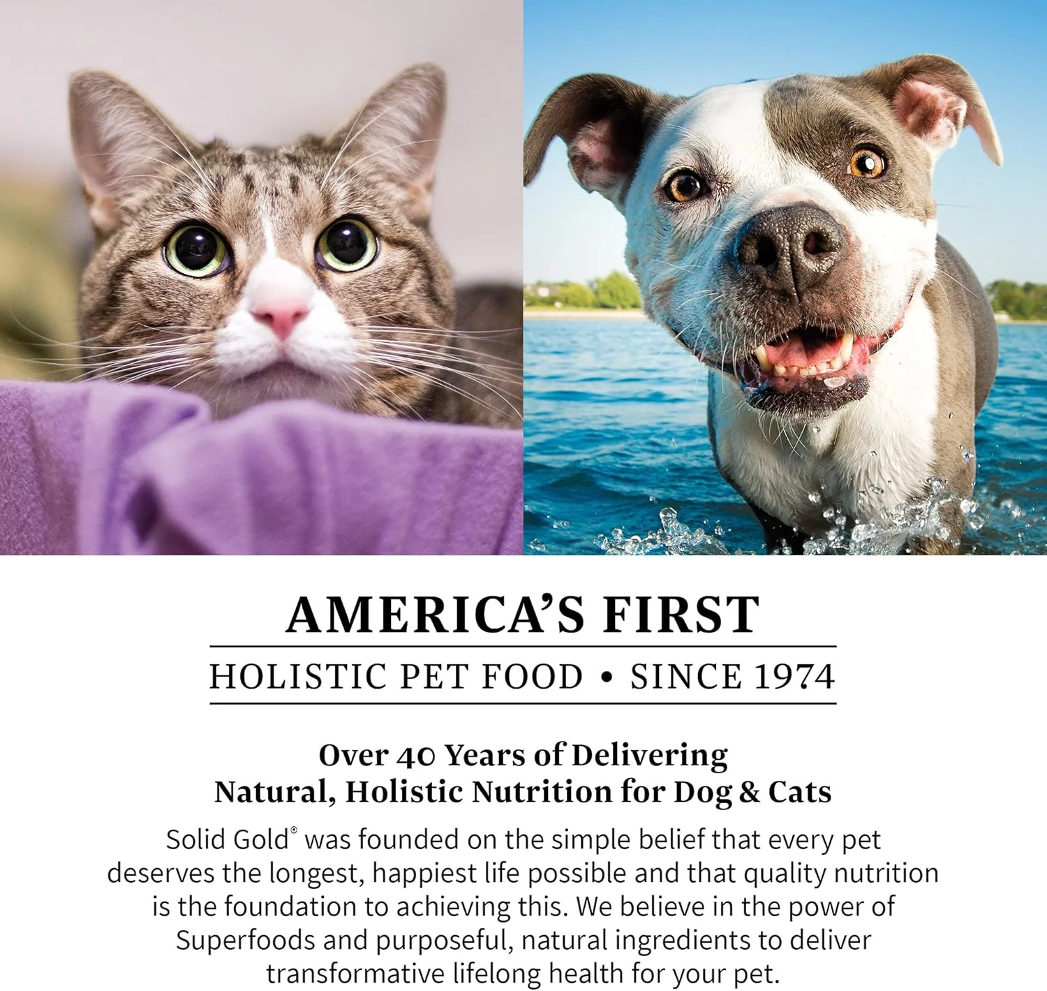 Berry Balance™ Urinary Tract Health Powder for Dogs & Cats - Image 7