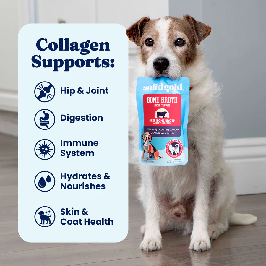 Bone Broth Beef Topper for Dogs - Image 5