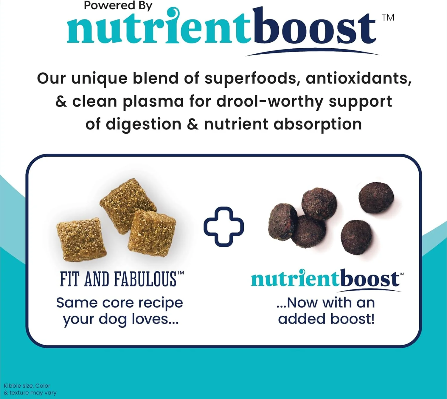 Nutrientboost™ Fit and Fabulous™ Chicken Dry Food for Adult Dogs - Image 5