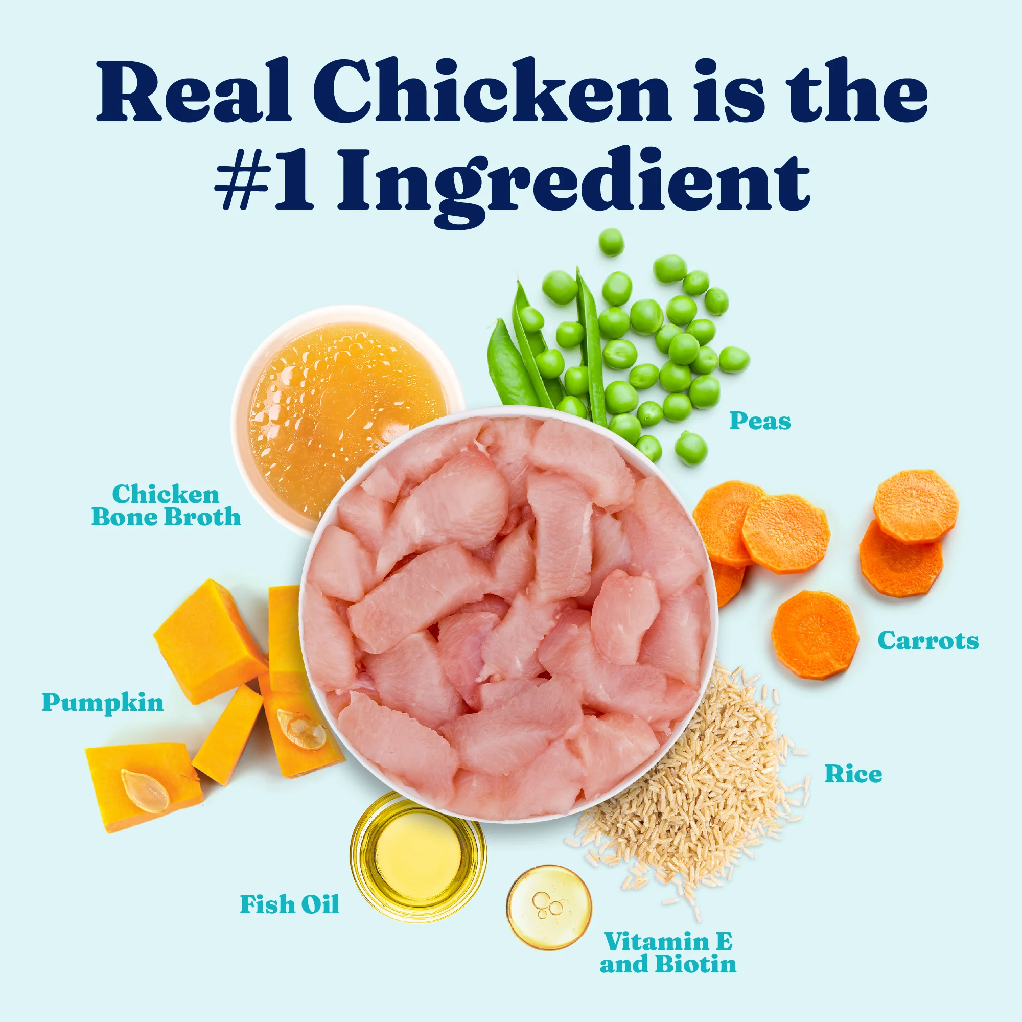 Nutrientboost™ Homestyle Meal Gut Health Wet Food for Dogs - Image 4