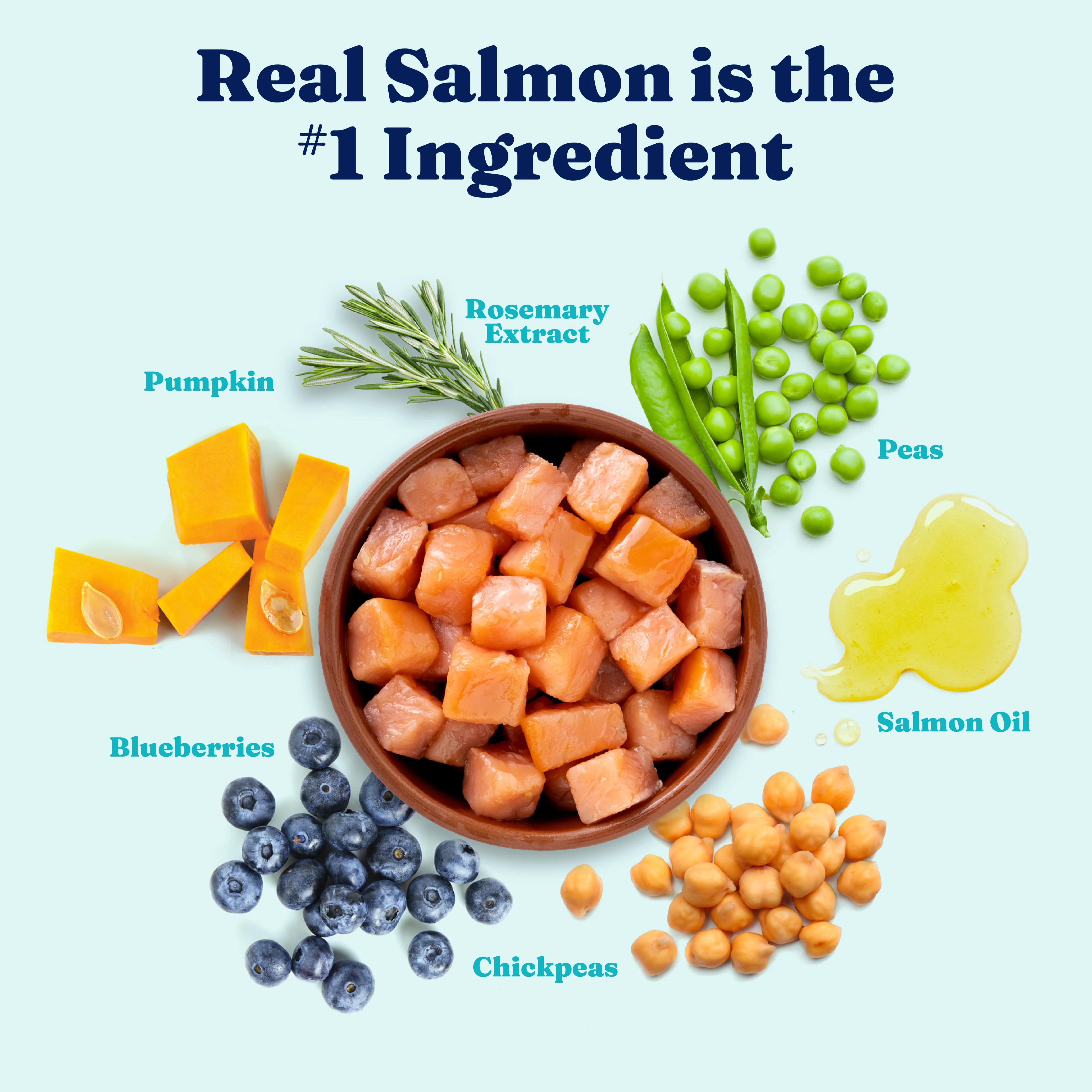 Nutrientboost™ Leaping Waters™ Sensitive Stomach Dry Food for Dogs - Image 3