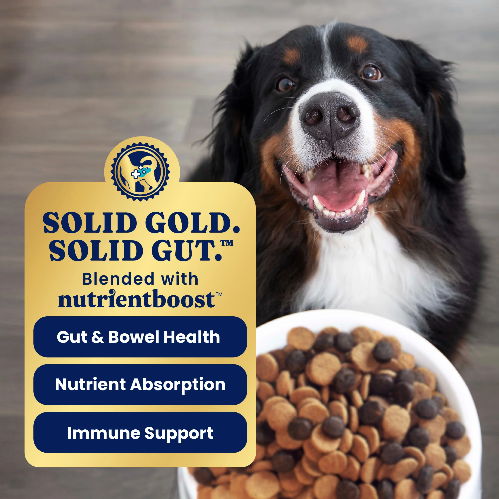 Nutrientboost™ Leaping Waters™ Sensitive Stomach Dry Food for Dogs - Image 4