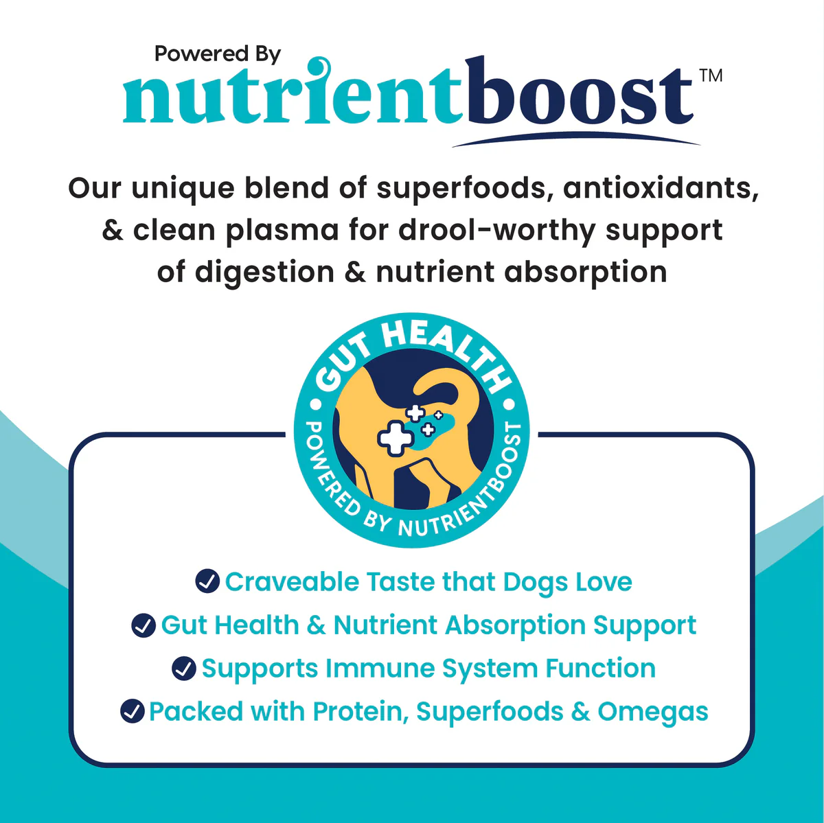 Nutrientboost™ Chicken Meatball Topper for Dogs - Image 6