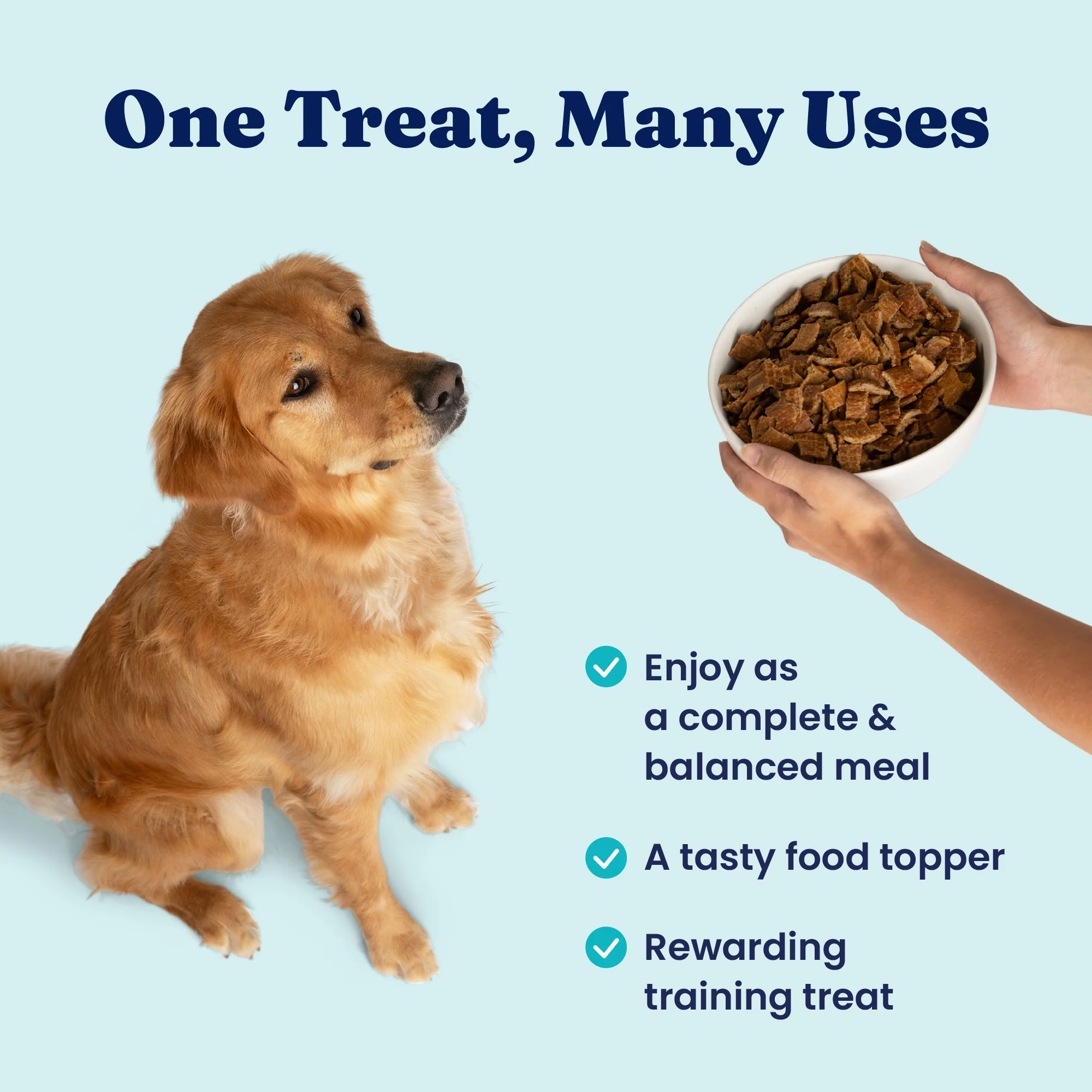 Nutrientboost™ Chicken Air Dried Topper or Meal for Dogs - Image 4