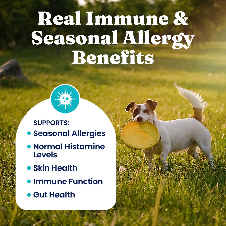 Allergy Support Chews for Dogs - Image 3