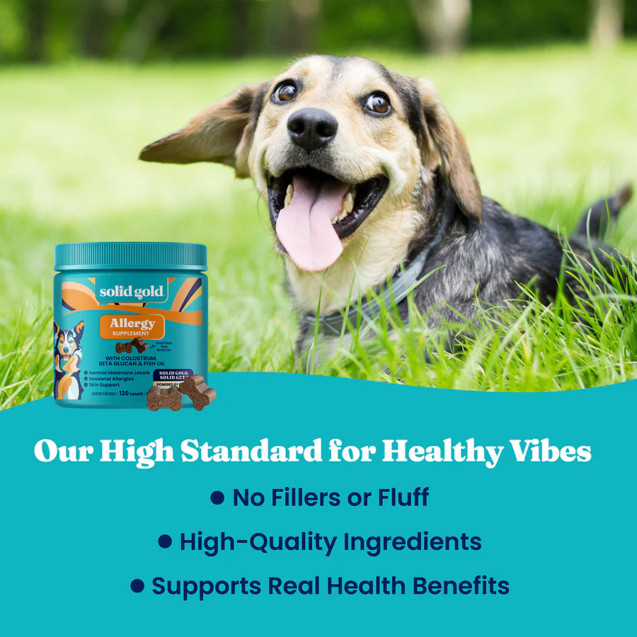 Allergy Support Chews for Dogs - Image 4