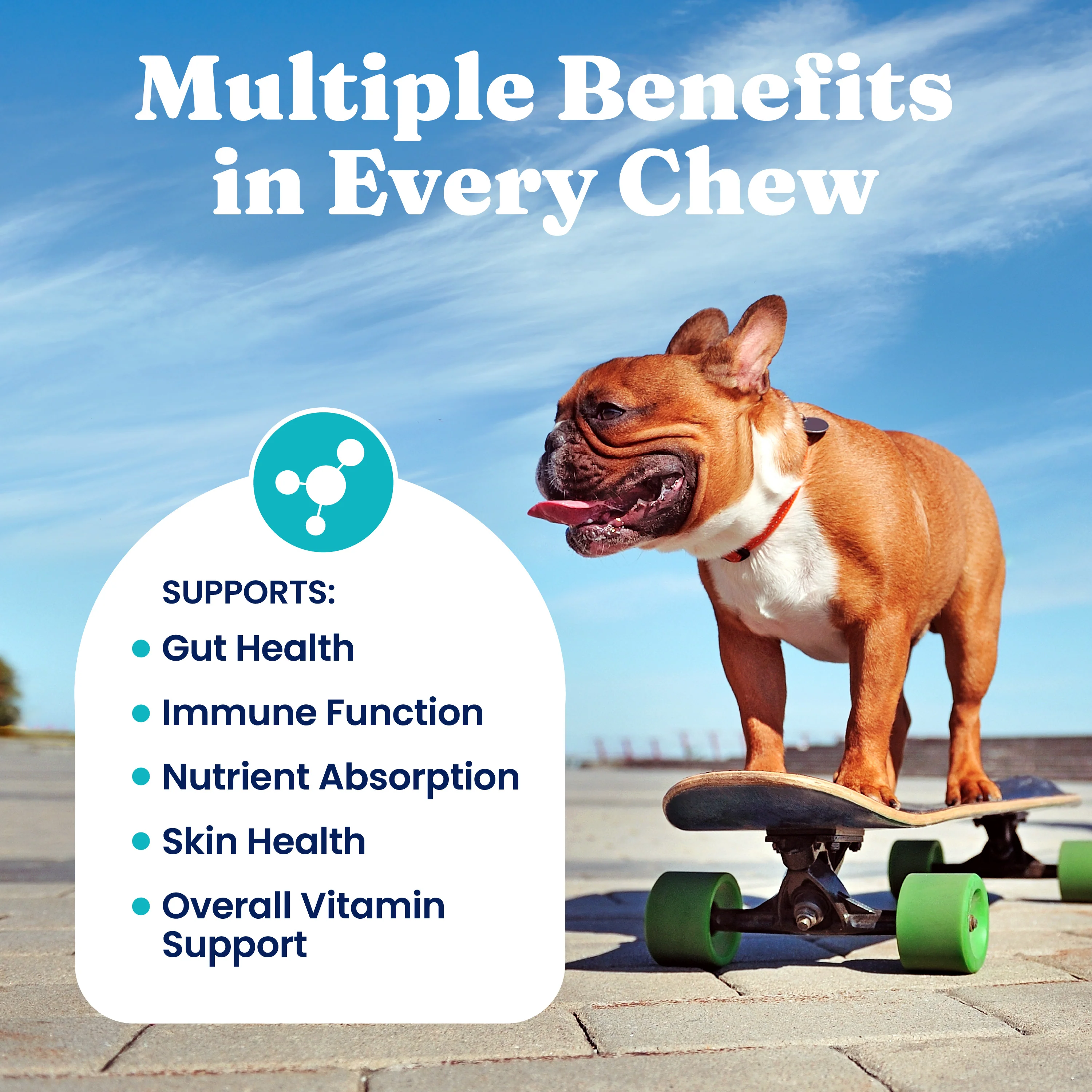 Multivitamin Chews for Dogs - Image 4