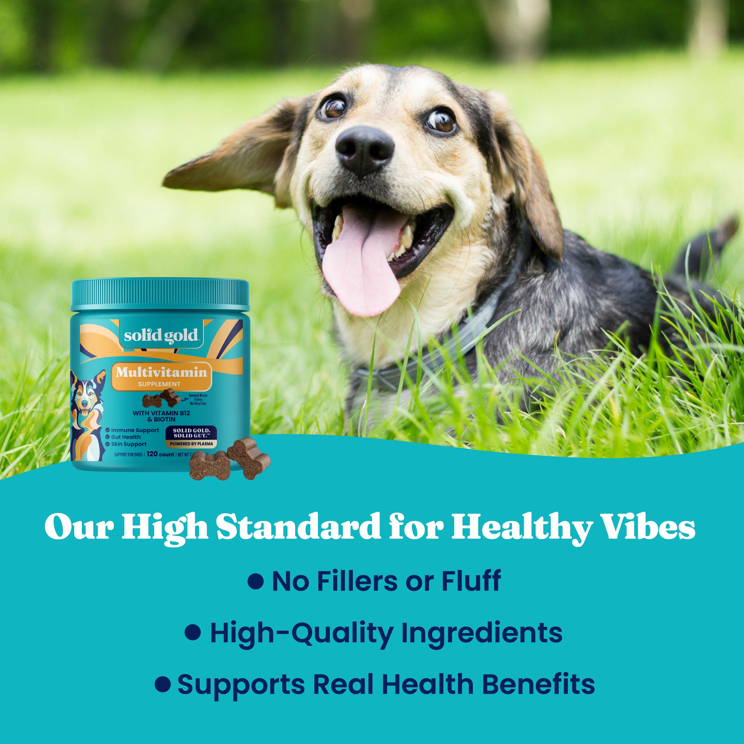 Multivitamin Chews for Dogs - Image 5