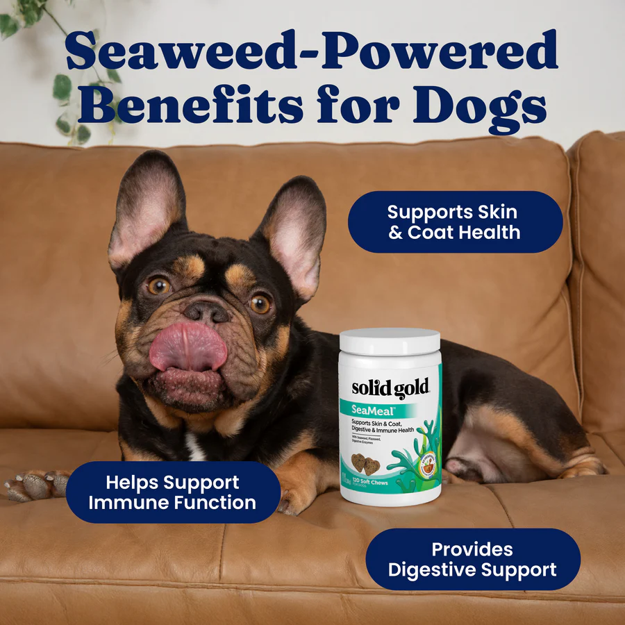 SeaMeal Daily Wellness Chews for Dogs - Image 3