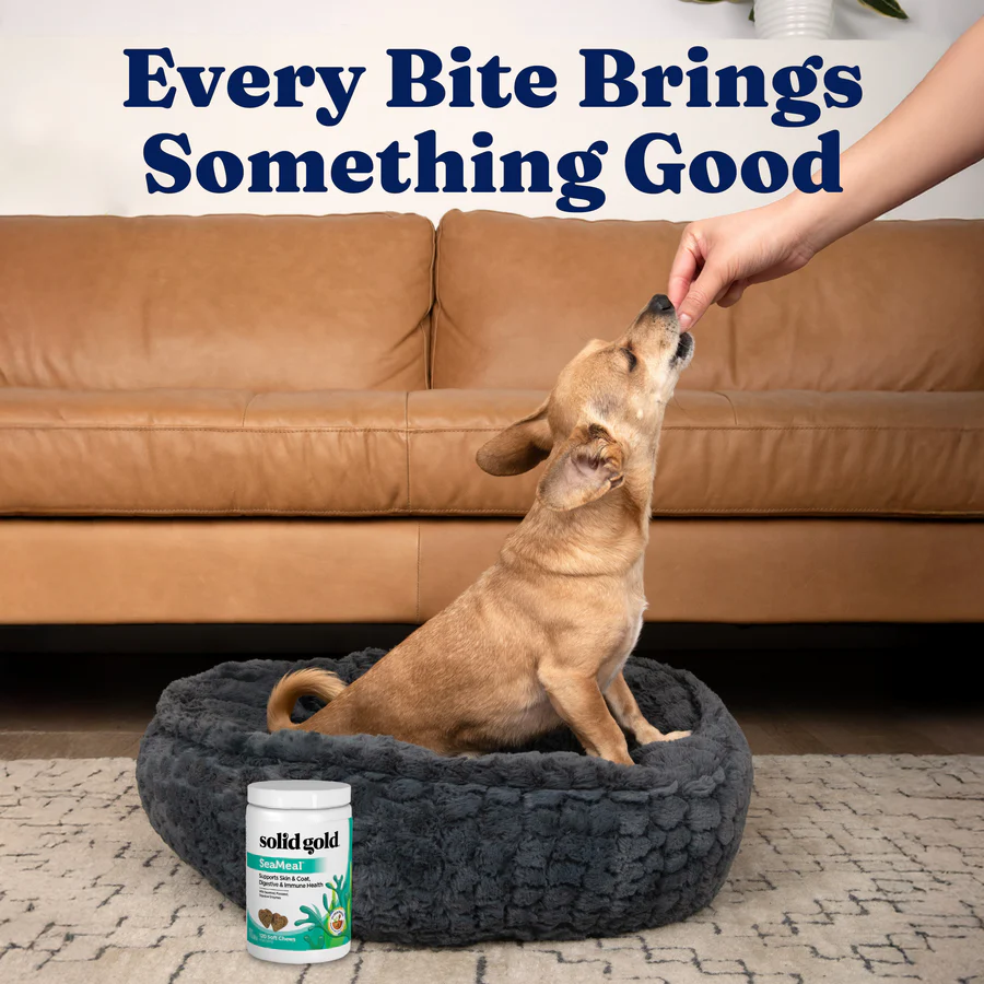SeaMeal Daily Wellness Chews for Dogs - Image 7