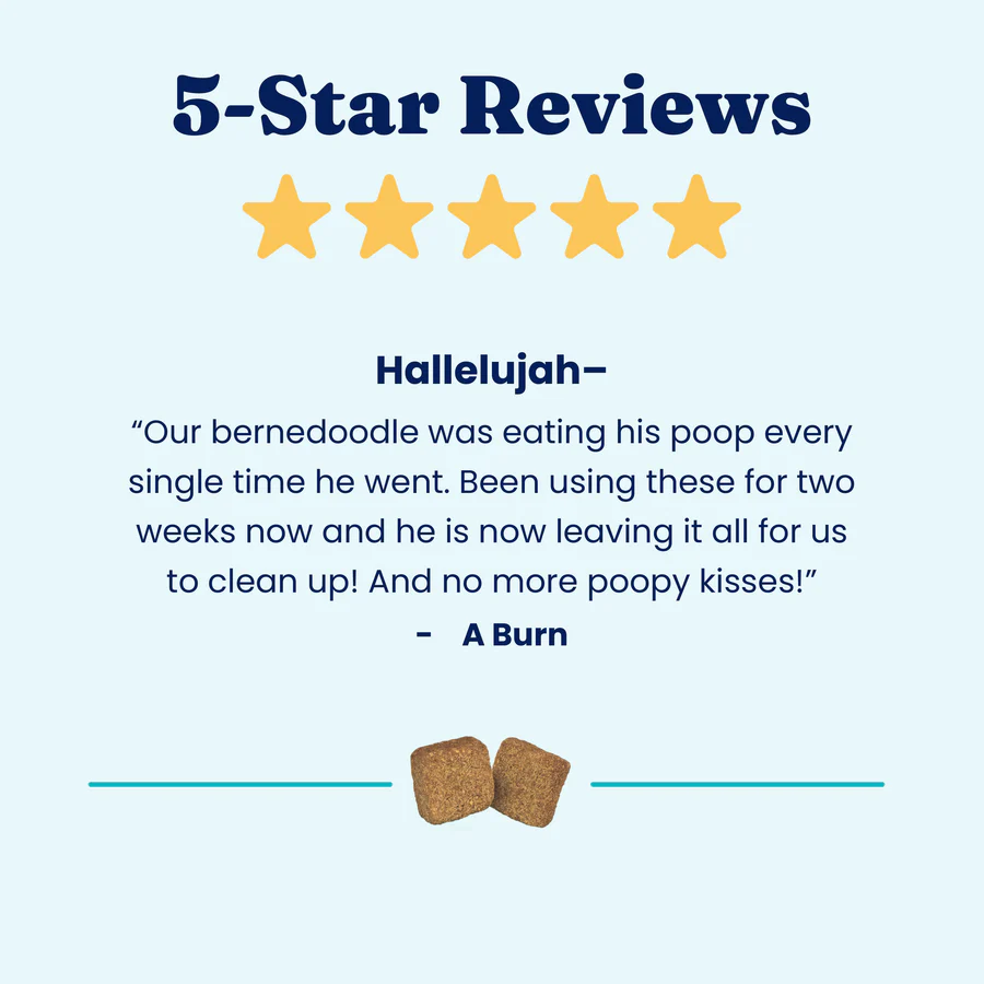 Stop Eating Poop Chews for Dogs - Image 13