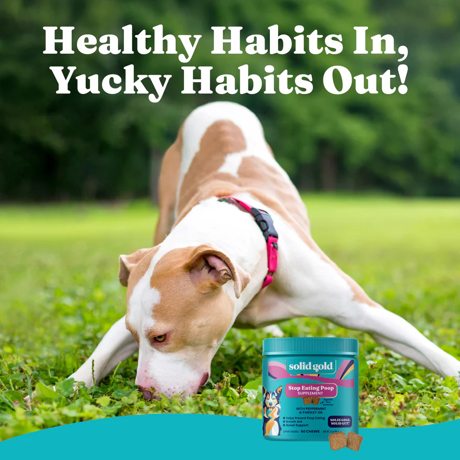 Stop Eating Poop Chews for Dogs - Image 14