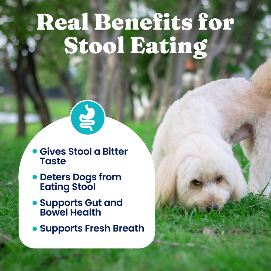 Stop Eating Poop Chews for Dogs - Image 3