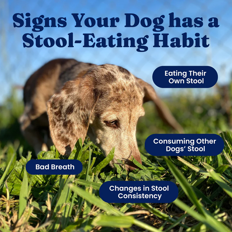Stop Eating Poop Chews for Dogs - Image 5