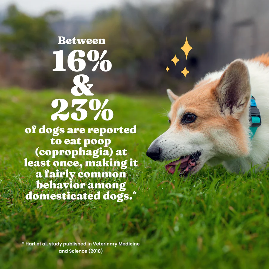 Stop Eating Poop Chews for Dogs - Image 6