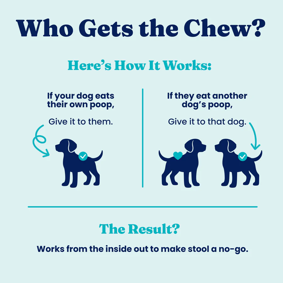 Stop Eating Poop Chews for Dogs - Image 8