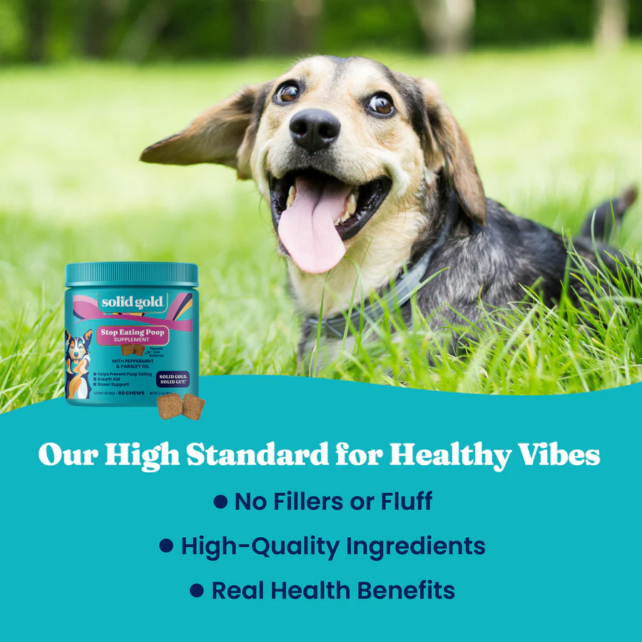 Stop Eating Poop Chews for Dogs - Image 9