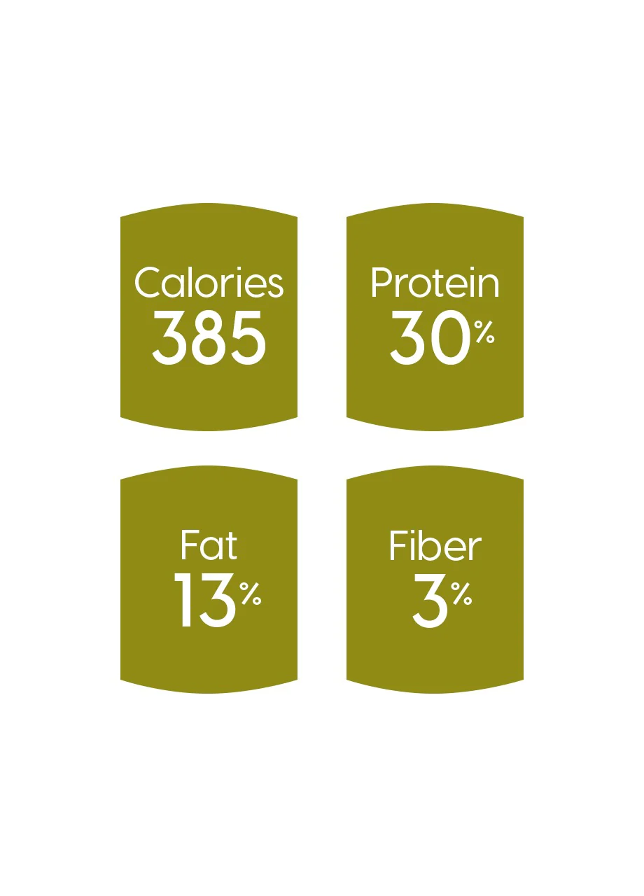 Winged Tiger™ Sensitive Stomach Dry Food for Adult Cats - Image 5