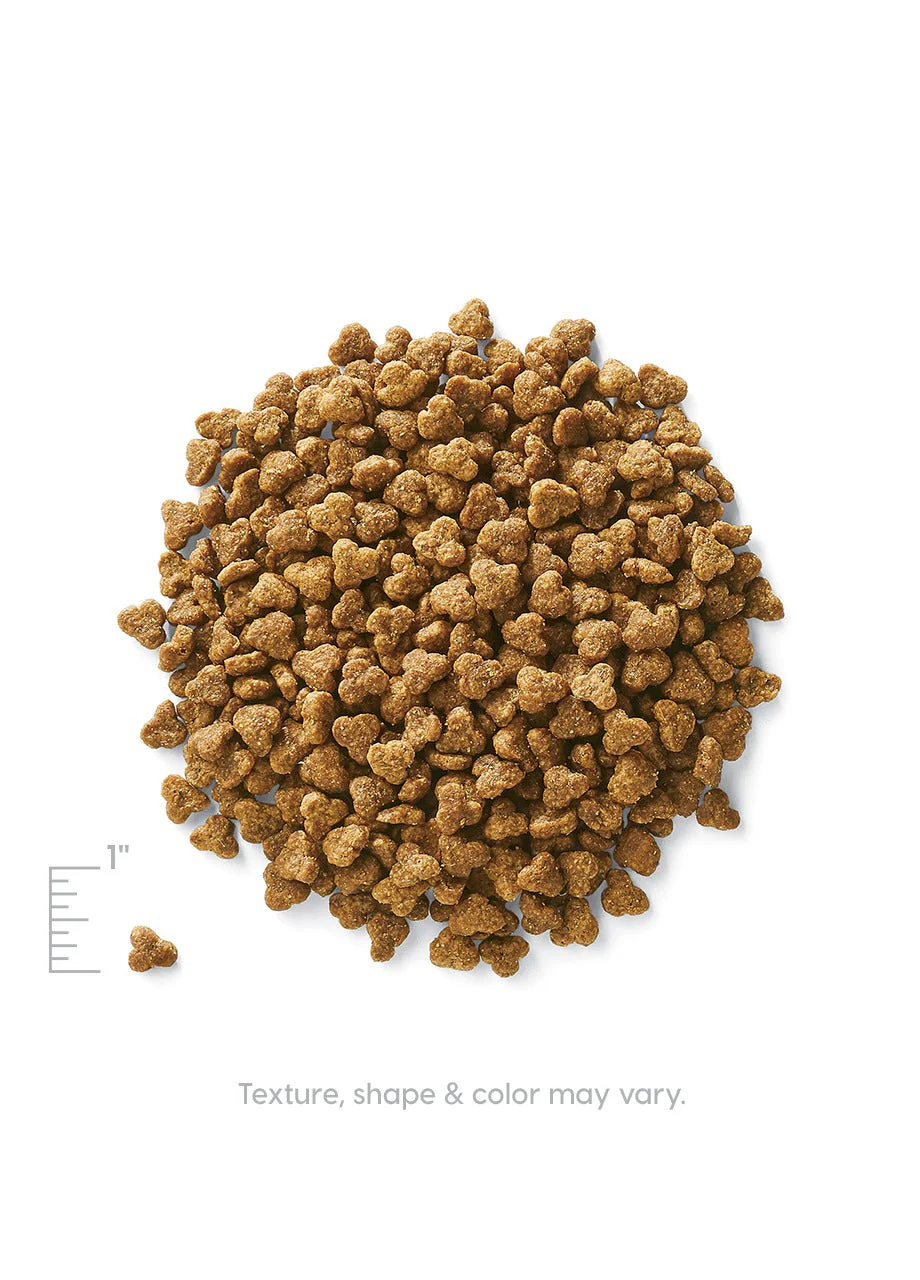 Winged Tiger™ Sensitive Stomach Dry Food for Adult Cats - Image 6